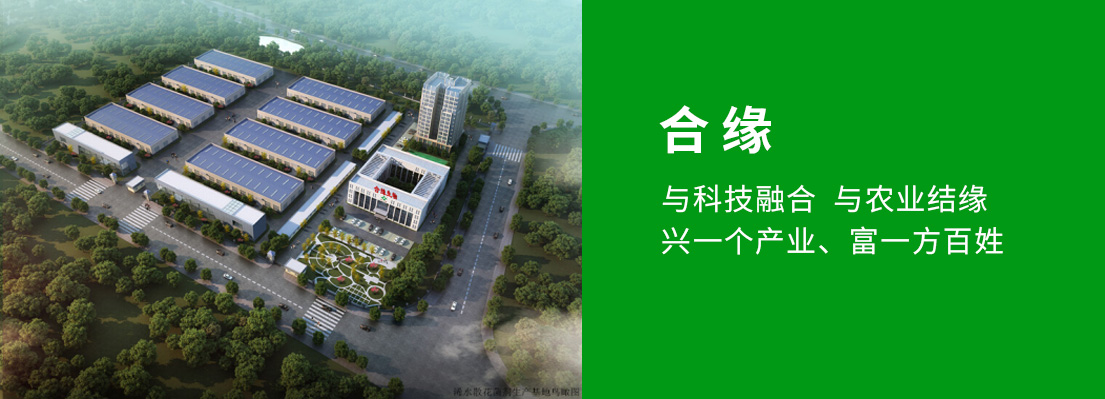 合緣簡(jiǎn)介